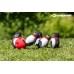 Pingviinibowling